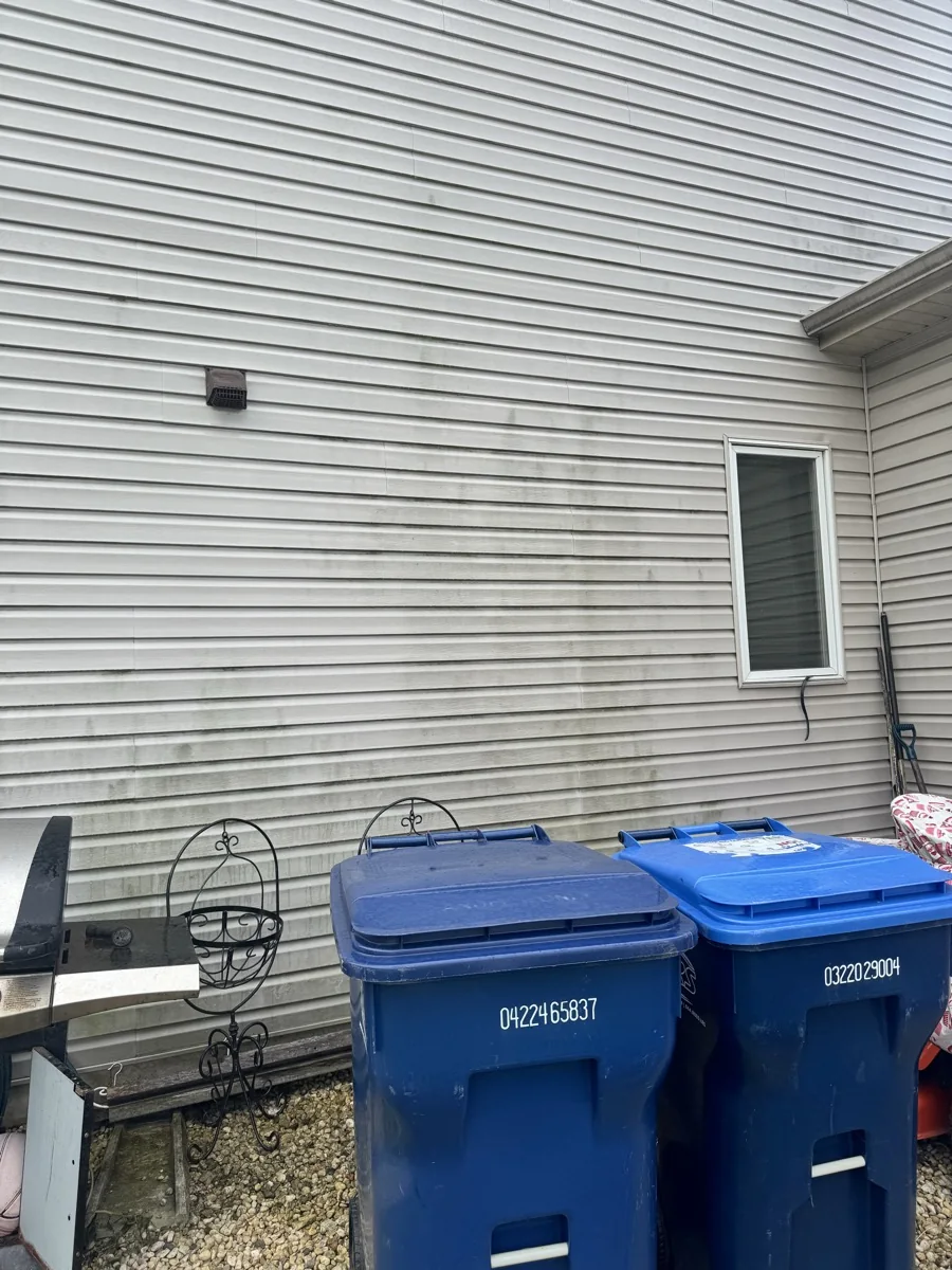 House siding with dark streaks and buildup before soft washing